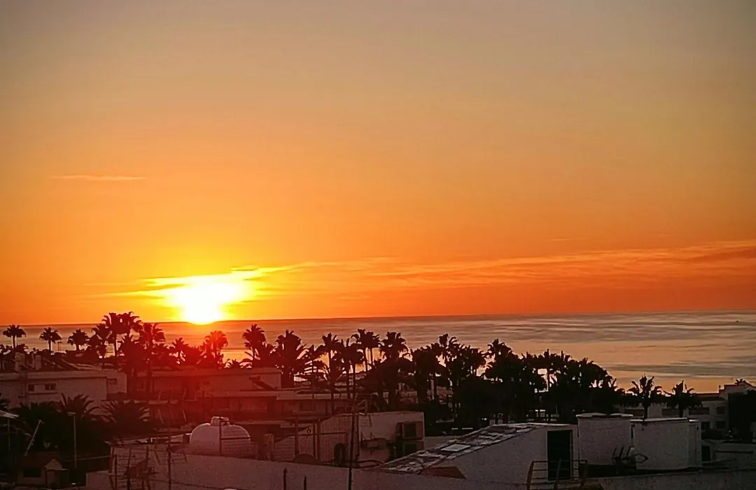 Buenavista-1