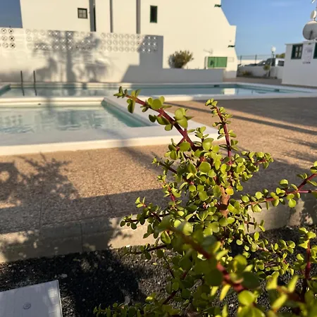Las Mimosas-2