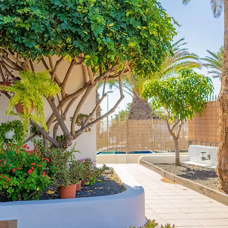 Apartamentos Isla De Lobos - Adults Only-3